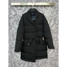 Louis Vuitton Down Jackets